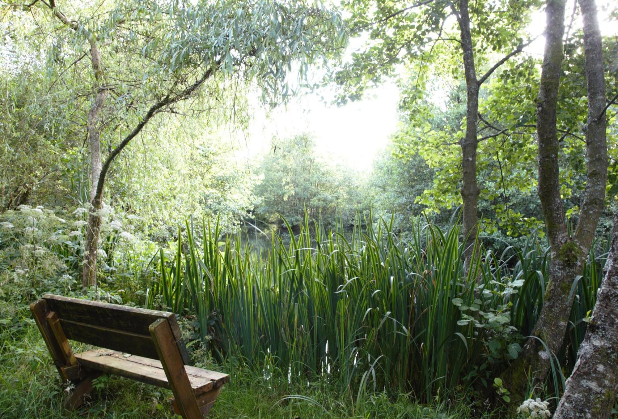 Go Eco Glamping Hotell Lampeter Exteriör bild